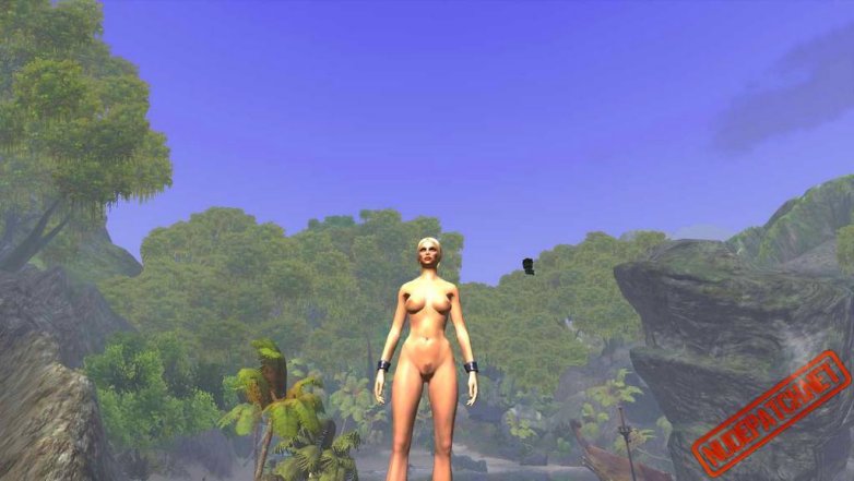 Nudes mods Age of Conan